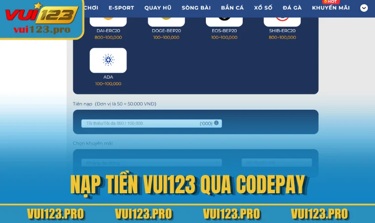 Nạp tiền VUI123 qua CodePay